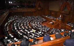 Nghị sĩ Nhật Bản cắt giảm lương do ảnh hưởng COVID-19