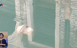 Cơ hội hiếm hoi khám phá hệ sinh thái đầm phá Venice