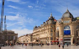 Pháp thay đổi kỳ thi xét tuyển vào đại học do dịch COVID-19