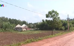 Triệu Sơn (Thanh Hóa): Hàng nghìn m2 đất bị "đất tặc" cày xới