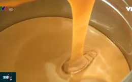 An Giang: Giữ tiếng đặc sản đường thốt nốt