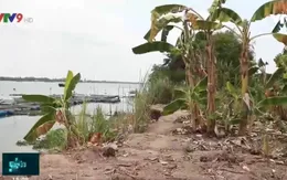 Đồng Tháp: Người dân lo lắng vì sạt lở gia tăng