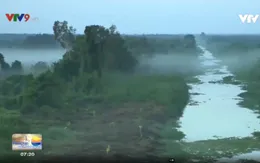 Kiên Giang: Rừng nước đỏ - U Minh Thượng