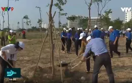 TP.HCM: Phát động Tết trồng cây nhớ ơn Bác Hồ