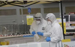 Chất khử trùng thông minh phá vỡ cơ chế lây nhiễm của virus SARS-CoV-2