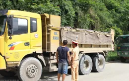 Rà soát tải trọng, khổ cầu đường và cấp giấy lưu hành phương tiện