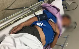 Mùa hè: Cảnh báo sốc phản vệ khi ăn... ve sầu