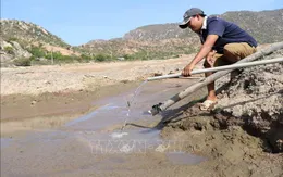 Tìm nguồn nước sạch ở vùng hạn Ninh Thuận: Rủi nhiều hơn may!