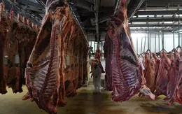 Phát hiện hàng trăm ca nhiễm COVID-19 tại các cơ sở chế biến thịt ở châu Âu