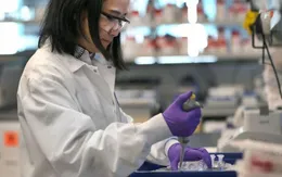 Mỹ đặt hàng trước 300 triệu liều vaccine của hãng AstraZeneca