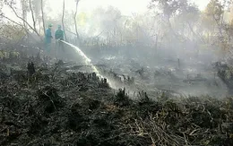 Hàng chục nghìn ha rừng Cà Mau trong tình trạng báo động đỏ về cháy rừng