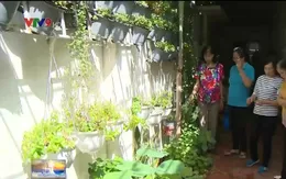 Phát triển mảng xanh đô thị - kinh nghiệm hay từ gia đình