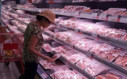 Việt Nam nhập khẩu gần 70.000 tấn thịt lợn