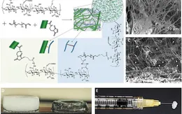 Loại gel có thể hàn gắn mọi vết thương trên cơ thể