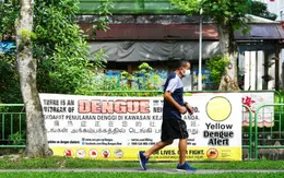 Sốt xuất huyết tại Singapore tăng vọt lên hơn 10.000 ca