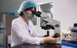 Bộ Giáo dục và Đào tạo yêu cầu Bộ Y tế xác minh mức thu học phí của trường Đại học Y dược TP.HCM