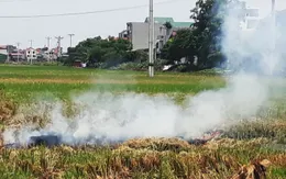Hà Nội: Kiểm tra việc đốt rơm rạ gây ô nhiễm không khí