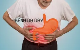 Bí quyết hỗ trợ giảm triệu chứng dạ dày của nhiều nghệ sĩ Việt