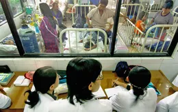 Singapore ghi nhận số ca mắc sốt xuất huyết trong tuần cao kỷ lục