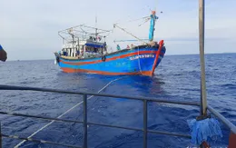Cứu nạn thành công 15 thuyền viên gặp nạn trên biển