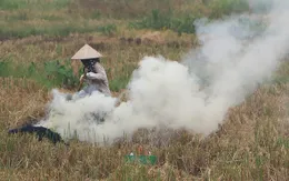 "Đến hẹn lại lên", Hà Nội lại mịt mù trong khói rơm rạ