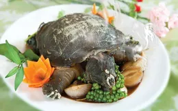 Dị ứng nặng sau khi ăn thịt ba ba