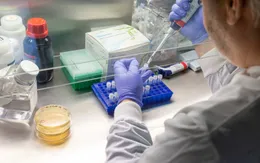 Chính phủ Anh tài trợ công tác thử nghiệm vaccine ngừa virus SARS-CoV-2 trên người