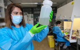 Virus SARS-CoV-2 có thể xuất hiện ở Tây Ban Nha từ tháng 3/2019