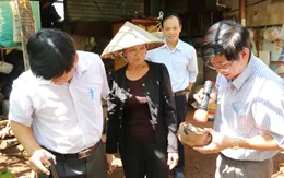 Đắk Lắk: Tăng cường các biện pháp phòng chống sốt xuất huyết đầu mùa mưa
