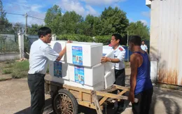 Bạc Liêu: Lần đầu tiêu hủy 574.000 con tôm giống không qua kiểm dịch