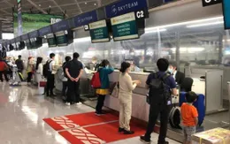 Đưa 342 công dân Việt Nam từ Nhật Bản về nước