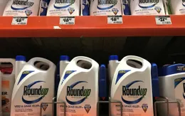 Tập đoàn hóa chất Bayer giành chiến thắng pháp lý ở Mỹ trong vụ tranh cãi thuốc diệt cỏ gây ung thư