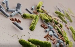 Israel phát triển lớp phủ khử trùng bề mặt để phòng virus SARS-CoV-2