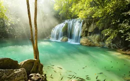 Bảo tồn thiên nhiên, Thái Lan đóng cửa công viên 133 quốc gia