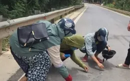 Nhóm học sinh đội nắng nhặt đinh ở đường Hồ Chí Minh