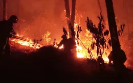 Cháy rừng diễn biến phức tạp ở Diễn Châu, Nghệ An