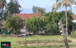 Hiểm họa đường dây điện sau công tơ mùa mưa bão