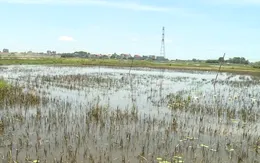 10 năm dang dở dự án thủy lợi gần 10 tỷ đồng: Vướng mắc ở đâu?