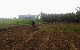 Quảng Ngãi: Kỷ luật nhiều cán bộ lãnh đạo sai phạm về đất đai