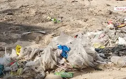 Công bố 2 dự án xử lý rác thải nhựa ven biển