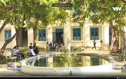 Xây dựng môi trường xanh để phát huy sáng tạo