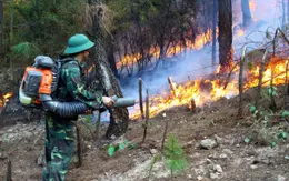 Cháy rừng mùa cao điểm nắng nóng: Phòng cháy rồi mới đến chống cháy