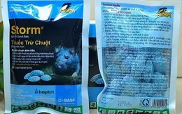 Cảnh giác với ngộ độc thuốc diệt chuột kháng vitamin K