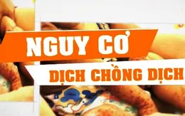 Có hay không nguy cơ dịch chồng dịch ở Việt Nam?