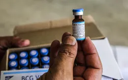 Vaccine ngừa lao có thể giảm tỷ lệ tử vong vì COVID-19