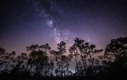 Cơ hội chiêm ngưỡng cùng lúc 2 cơn mưa sao băng đẹp nhất mùa hè 2020