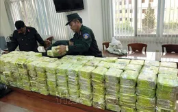 Thủ đoạn tinh vi của những kẻ buôn "cái chết trắng" ở Quảng Trị