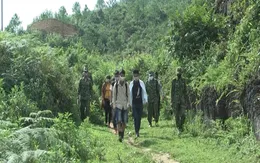 Ngăn chặn 14 người nhập cảnh trái phép, trốn cách ly y tế tại Hà Giang