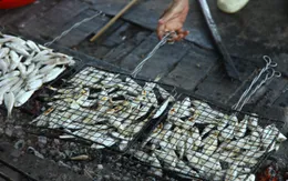 Cá nướng than hồng ngon khó quên của miền biển Cửa Lò