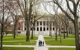 Sinh viên quốc tế đóng góp thế nào cho nền kinh tế Mỹ?